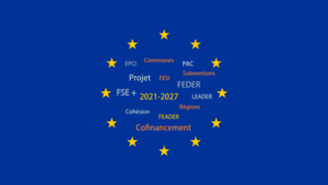 Formation à distance sur les fonds européens